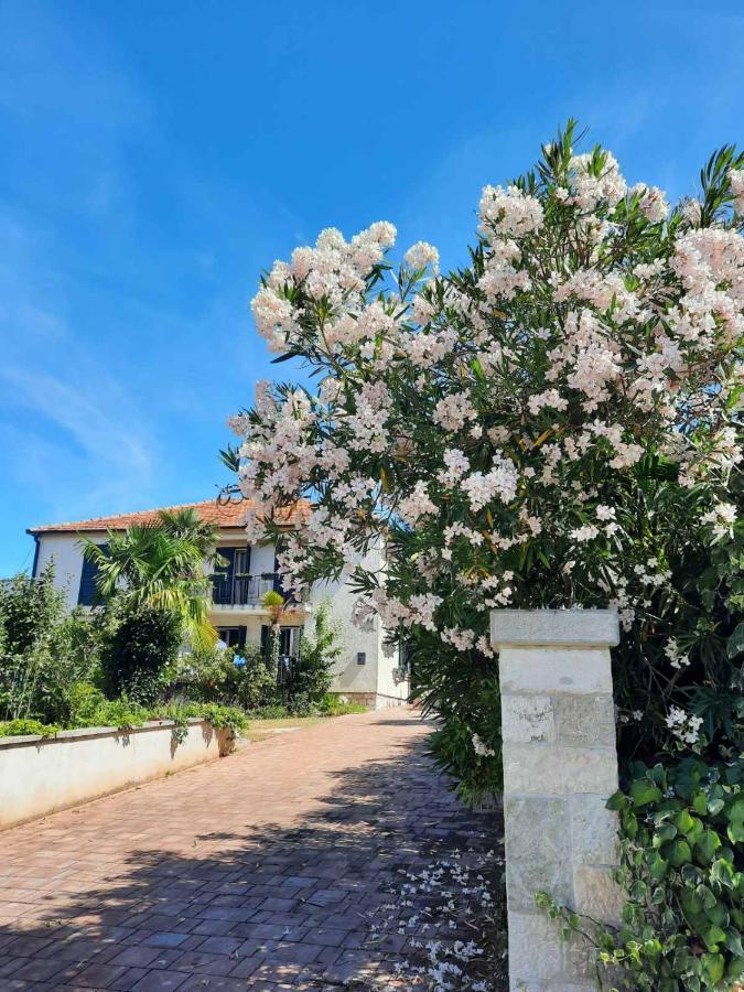Apartments Palm House Rovinj Exterior photo